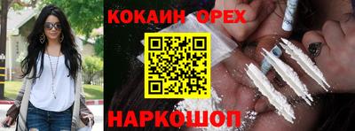 гашик Бузулук