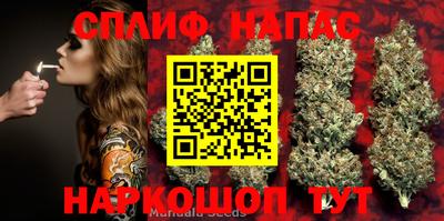 гашик Бузулук