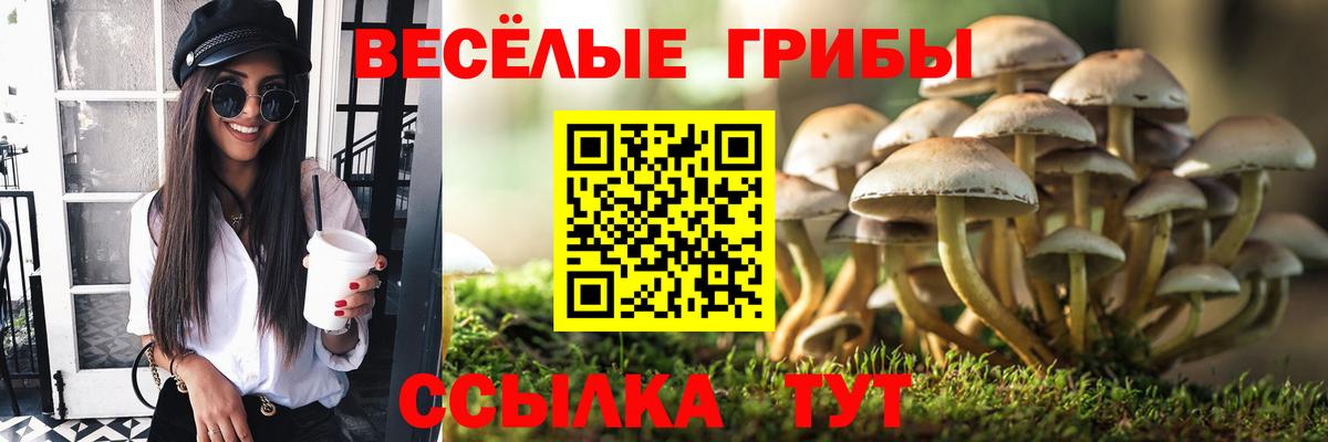закладки  Галлюциногенные грибы Magic Shrooms  Лесосибирск  Вход с VPN  Псилоцибиновые грибы мицелий 